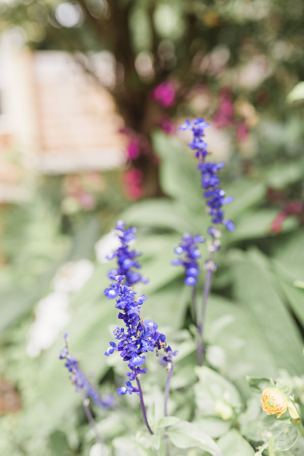 fine art wedding photography hereford herefordshire