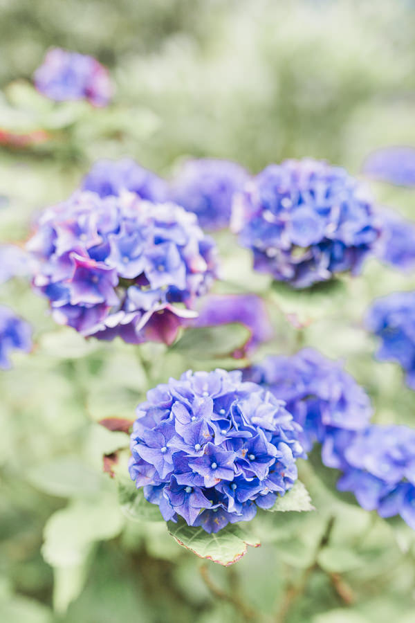 fine art wedding photographer west midlands worcestershire kateshill house