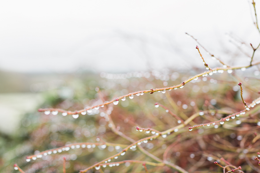 whitney court herefordshire whitney on wye hereford wedding photography fine art wedding photographer