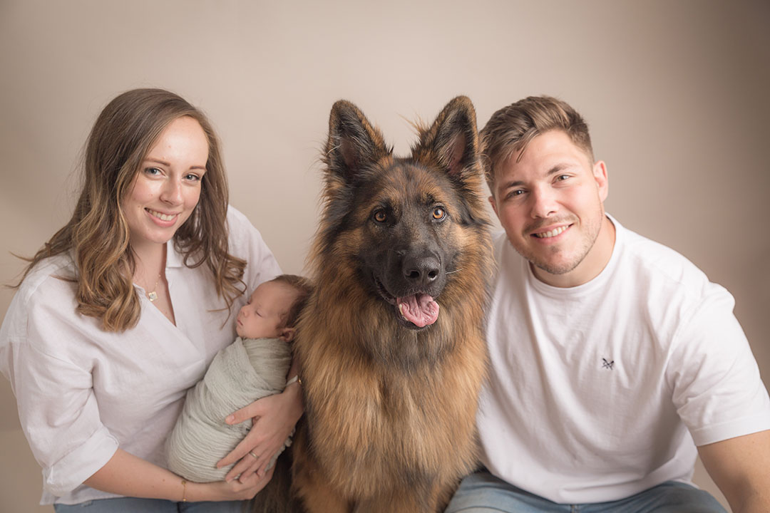 Parents and their alsatian dog posed against a backdrop holding their wrapped newborn baby along with their dog sat with them 