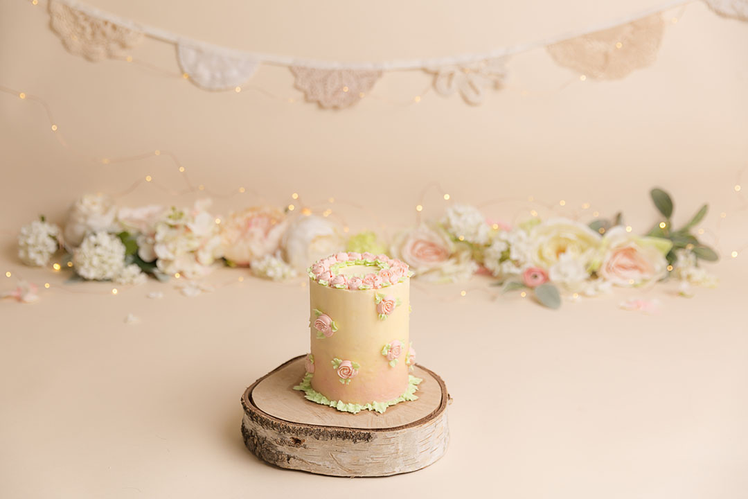 Studio setup ready for a cake smash session, neutral backdrop with lace, flowers and fairy lights. Cake to the foreground with floral icing on a slice of tree log 