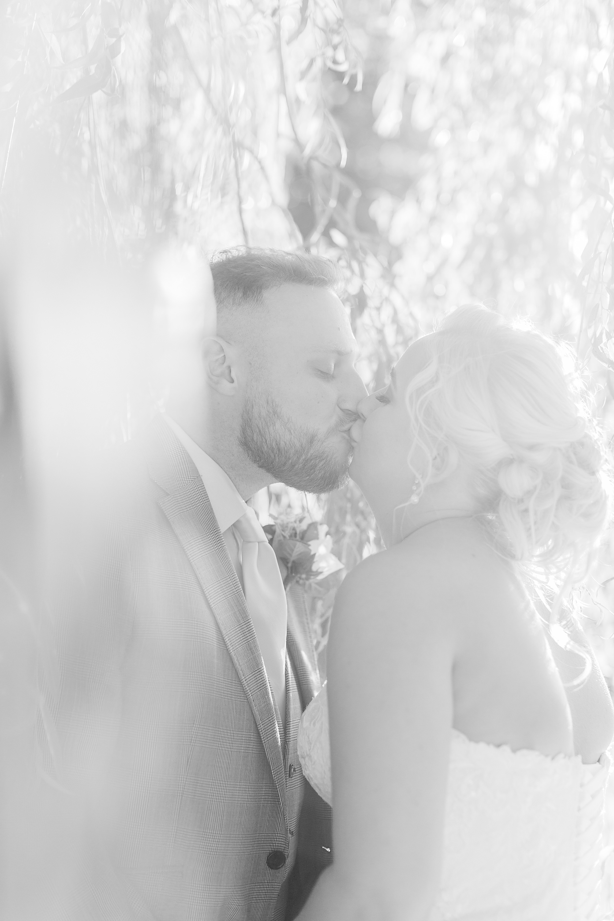 photo is of a bride and groom embraced together and kissing under a willow tree in hazy setting sunlight