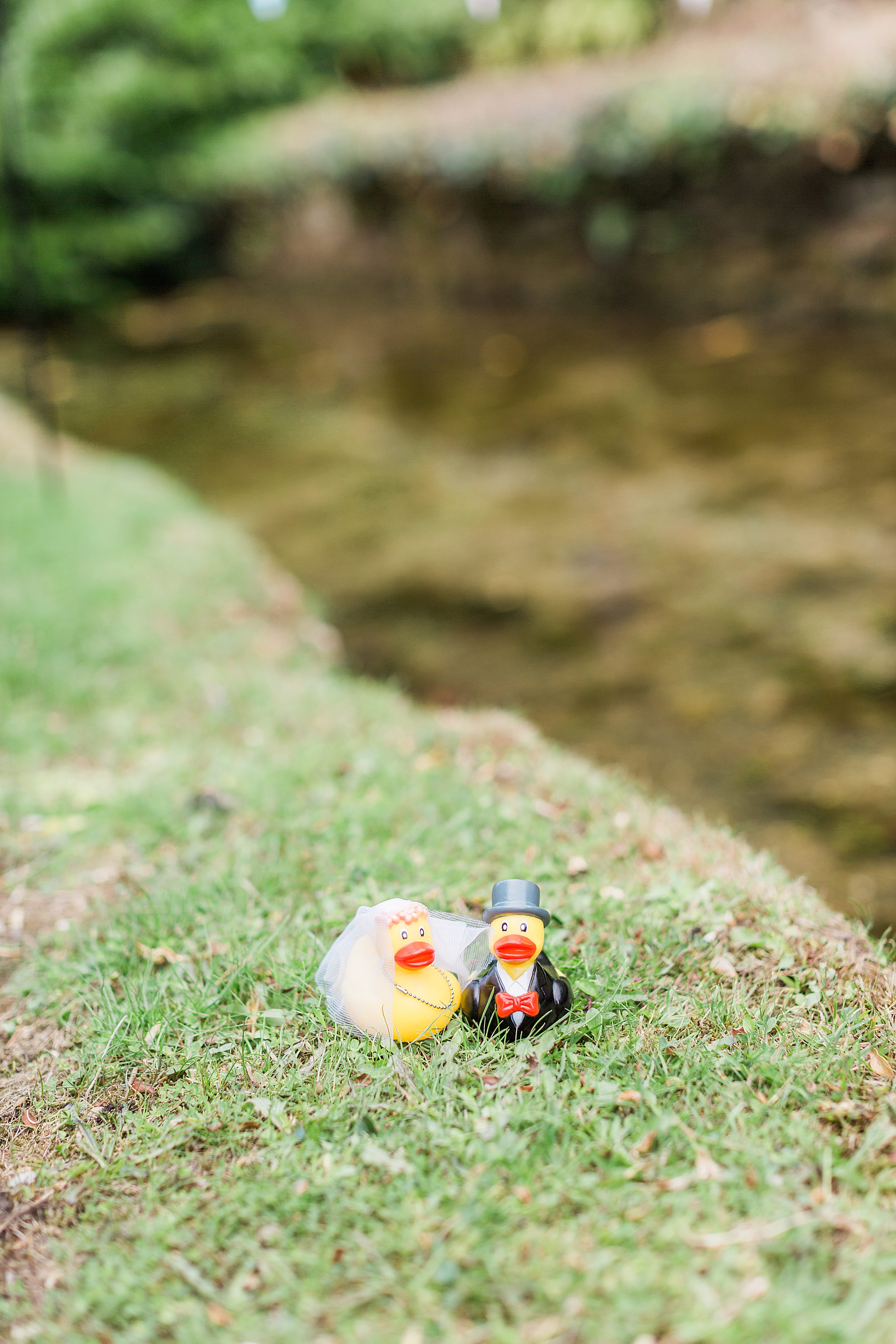 Image shows a bride and groom themed rubber duck positioned on the bank next to a stream