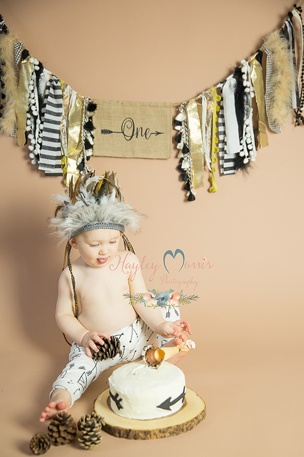 wild at one cake smash theme rustic hayley morris photography studio first birthday photos malvern worcester worcestershire