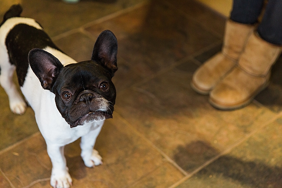 Hayley Morris Photography Festival fete yurt village wedding photographer herefordshire