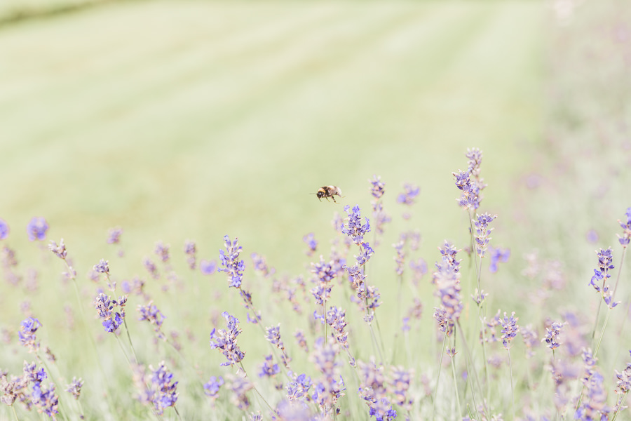 Hayley Morris Photography Stanbrook Abbey Malvern Worcester Fine Art Wedding Photographer