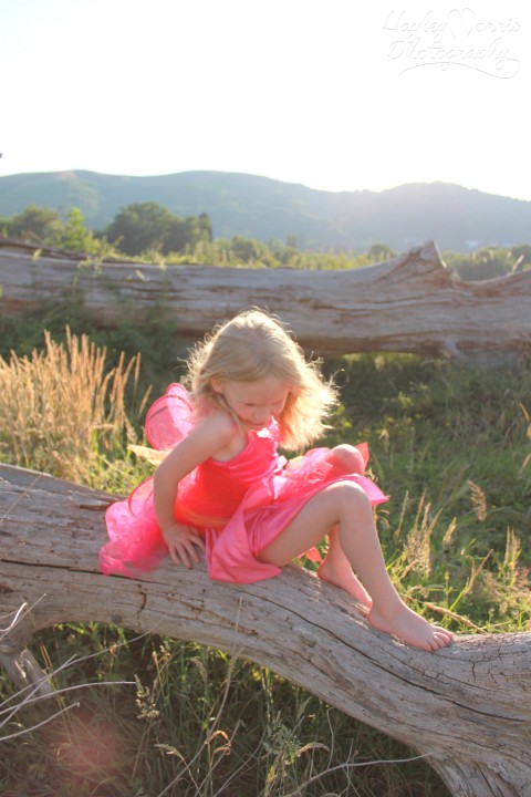 Fairy Shoot 18