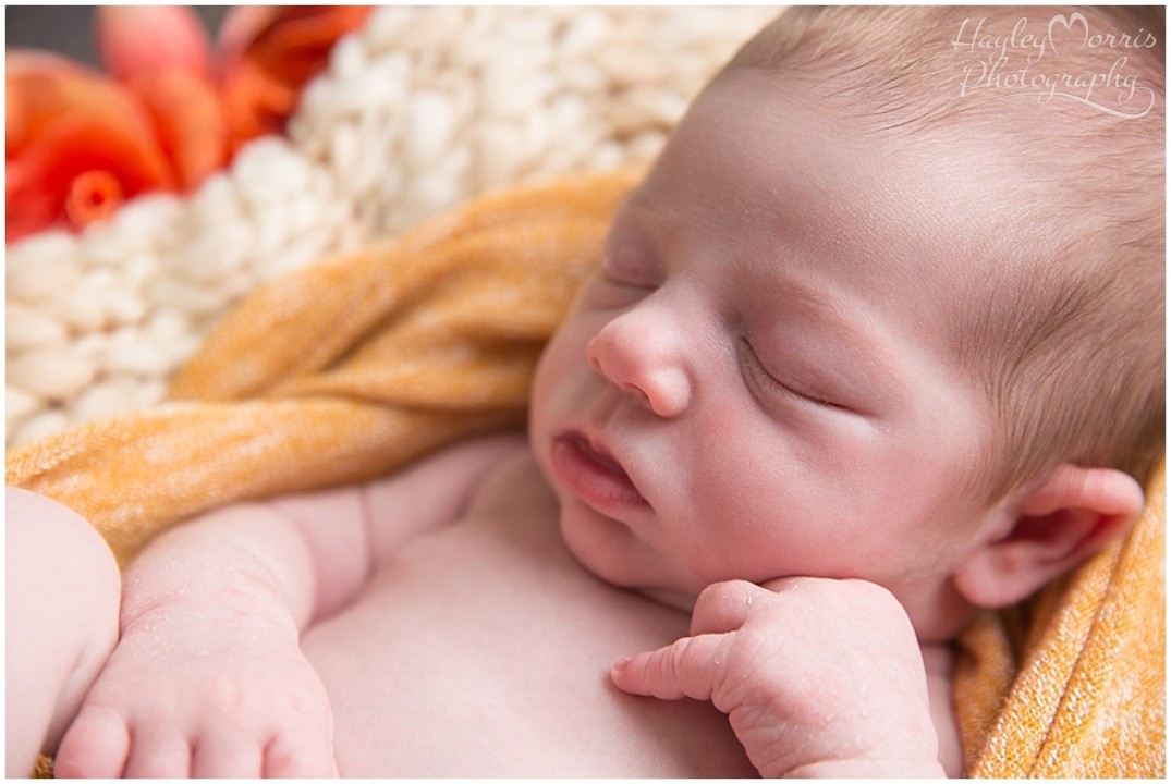 newborn photography baby photographer malvern worcester worcestershire herefordshire 11